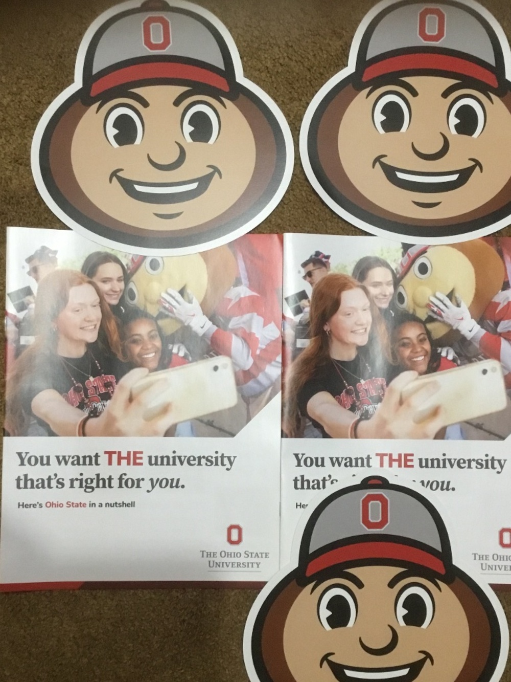 The Ohio State University Buckeyes Mascots Cut outs and Brochures (2026)